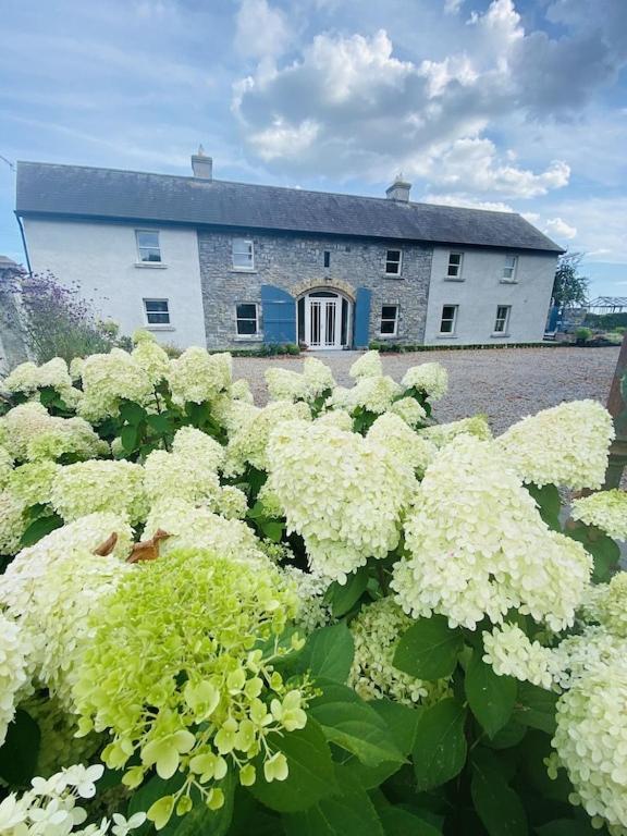 The Granary, Luxuriously Restored Barn On A Farm Villa Thurles Eksteriør bilde